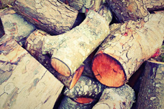 Pendre wood burning boiler costs